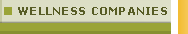 Wellness Companies