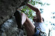 Climbing in South Tyrol