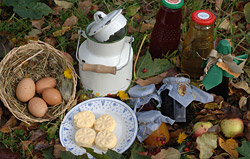 South Tyrolean products from the farmers