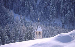 Winter scenery