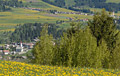 Monguelfo / Welsberg - Tesido / Taisten at the Kronplatz