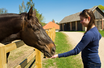Horse riding hotels
